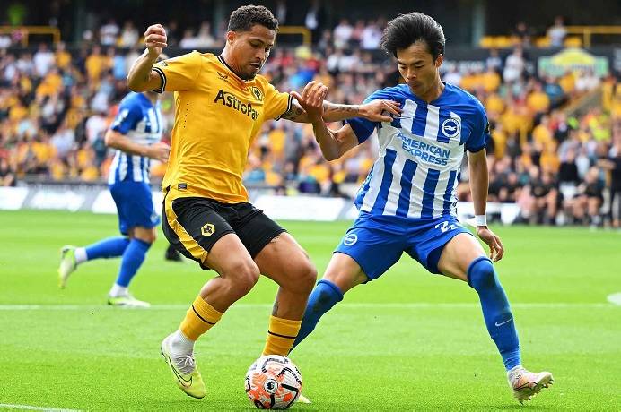 Nhận định, soi kèo Brighton vs Wolves, 1h45 ngày 19/9: Móng vuốt của Hải âu